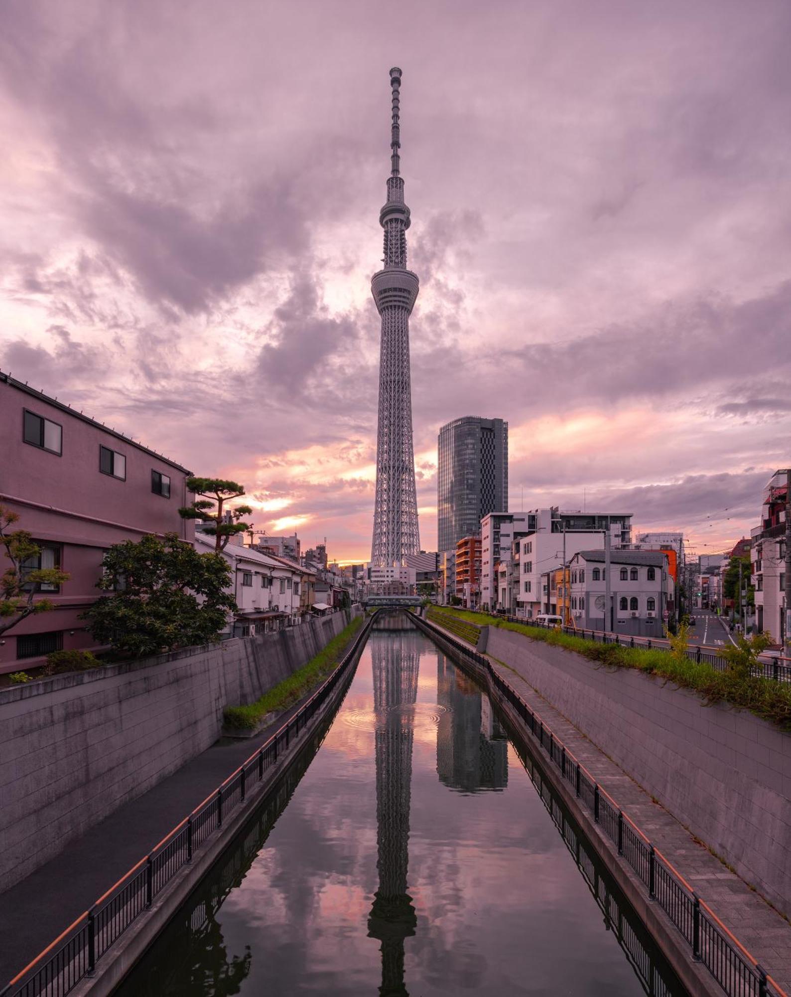 Sakura Apartament