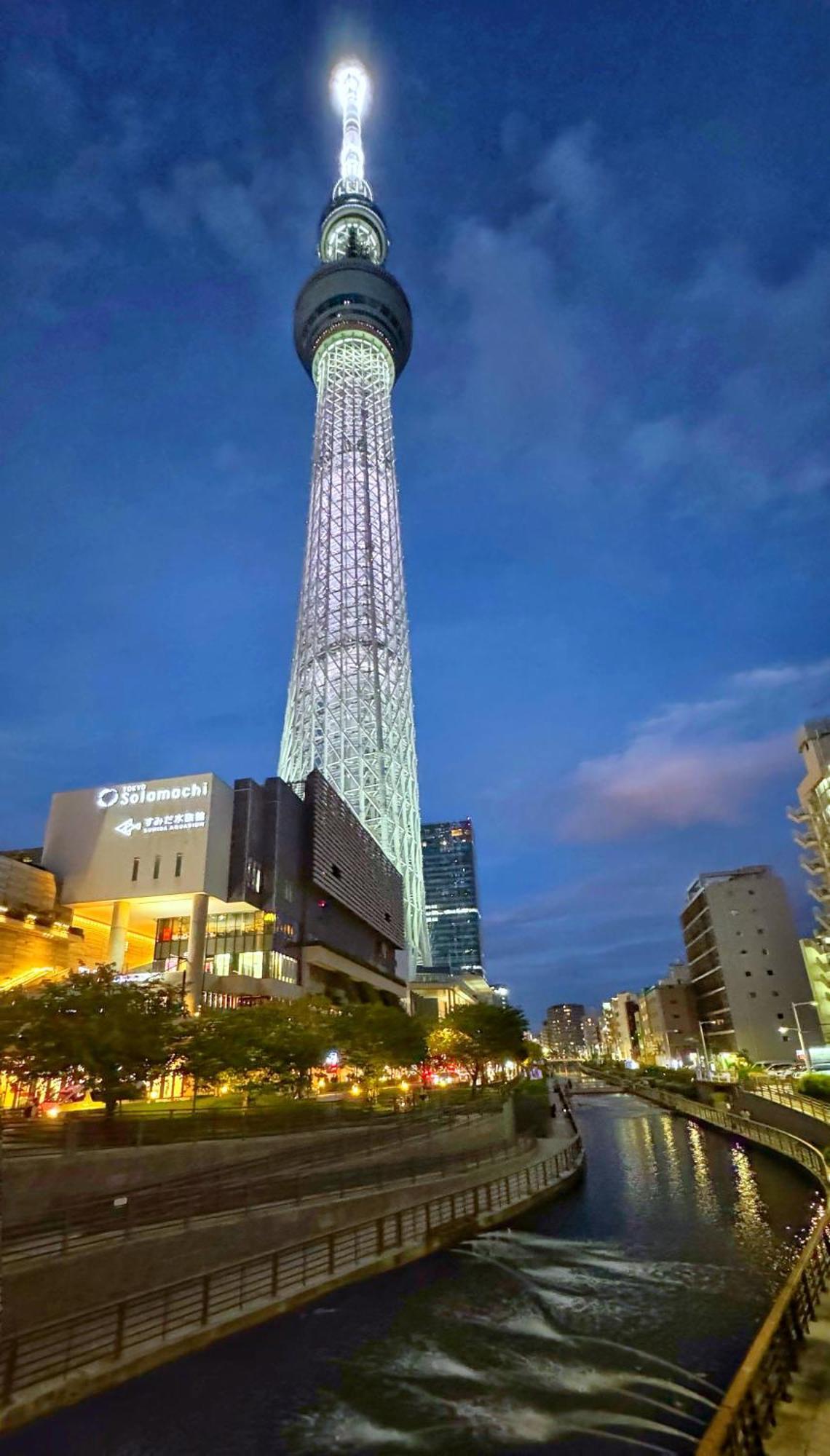 Apartament Sakura