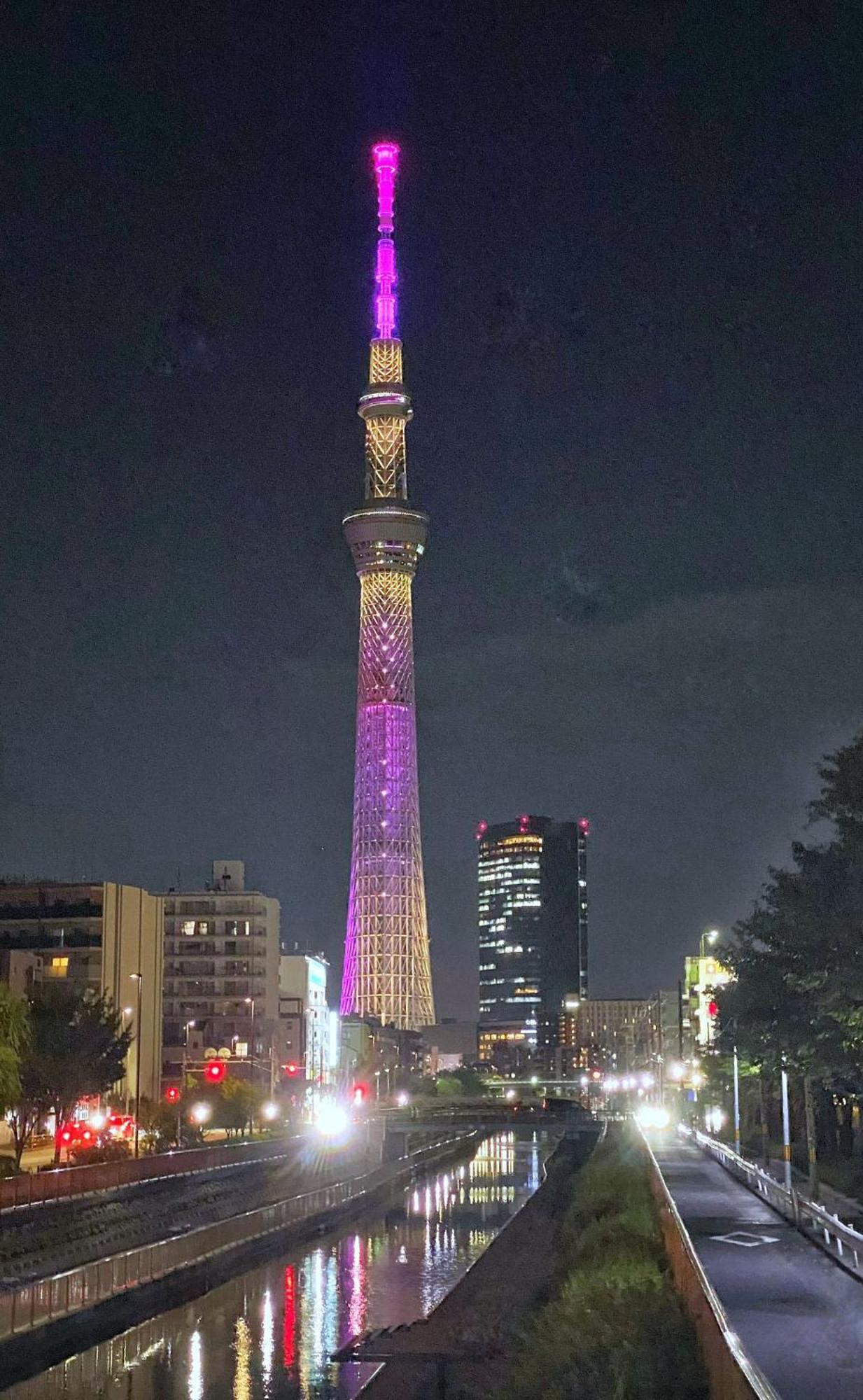 Sakura Tokio